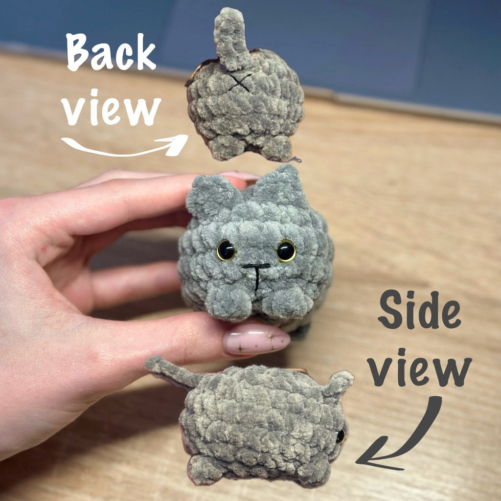 Custom Mini Cat