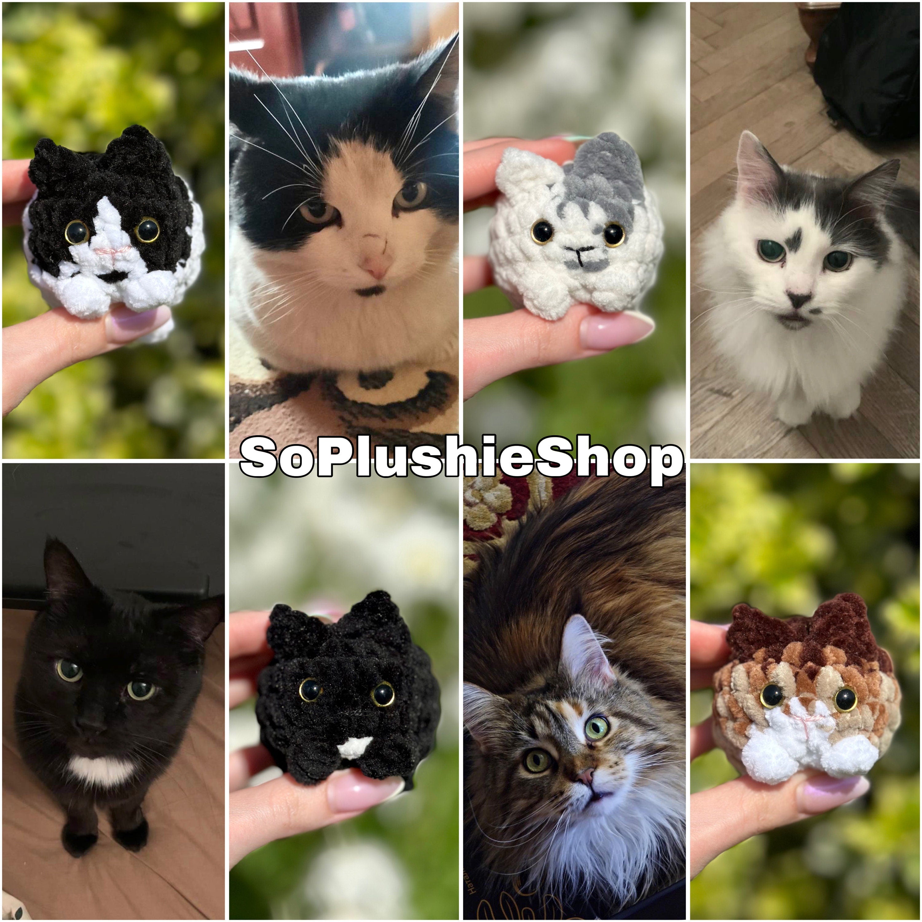 Custom Mini Cat