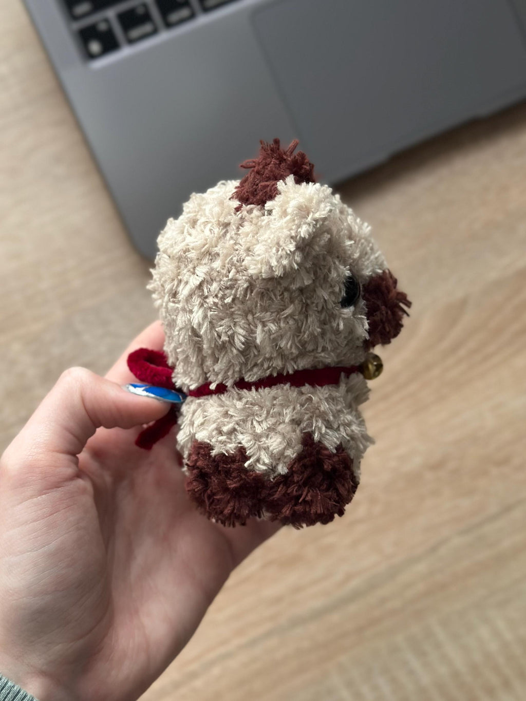 Fluffy Mini Cow