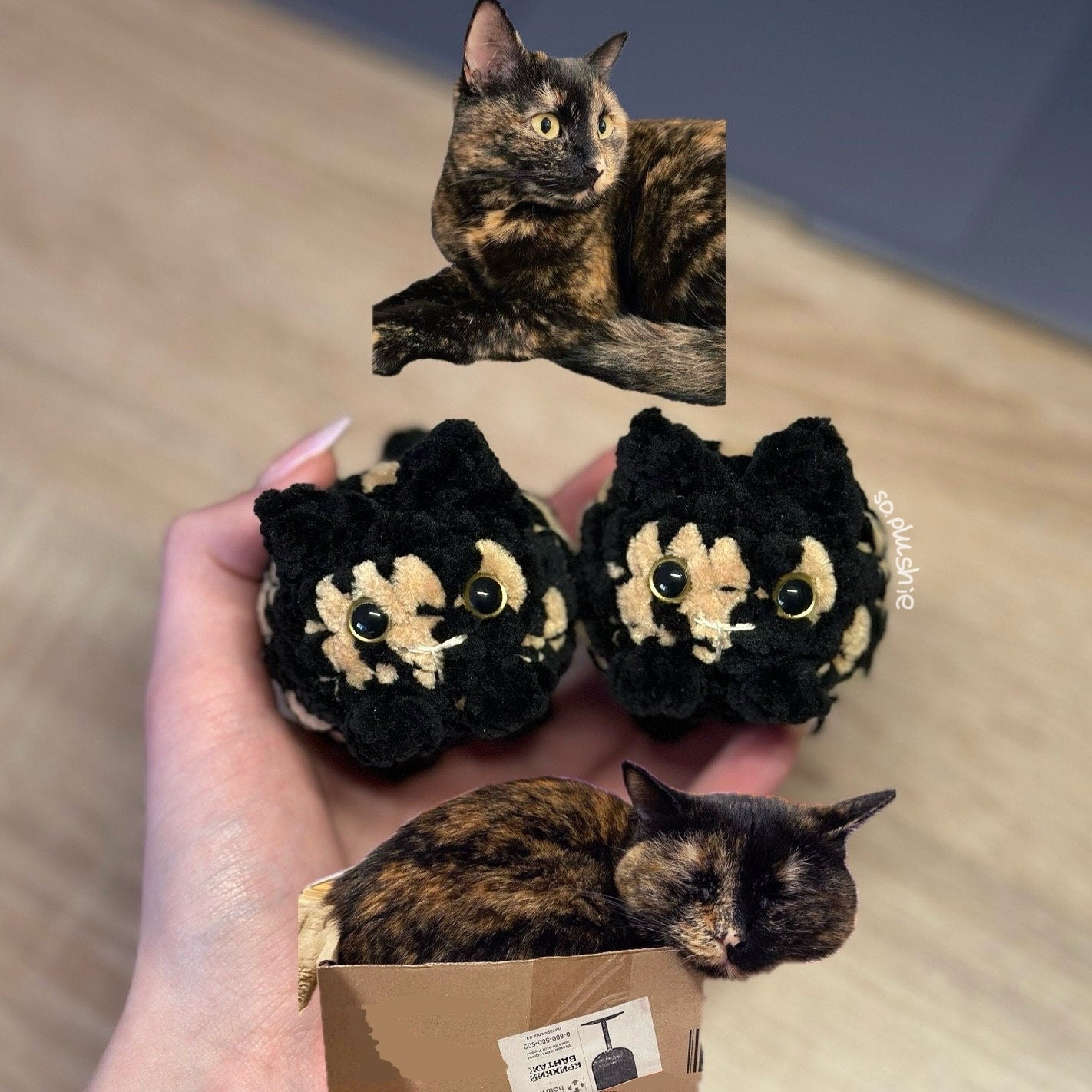 Custom Mini Cat