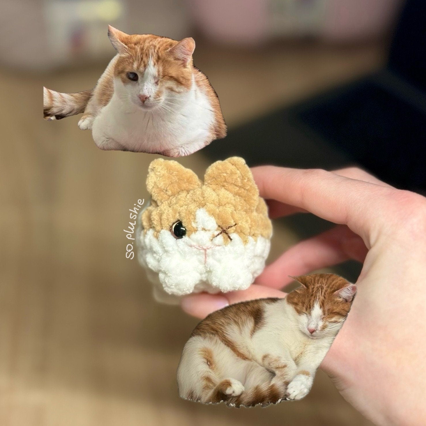 Custom Mini Cat