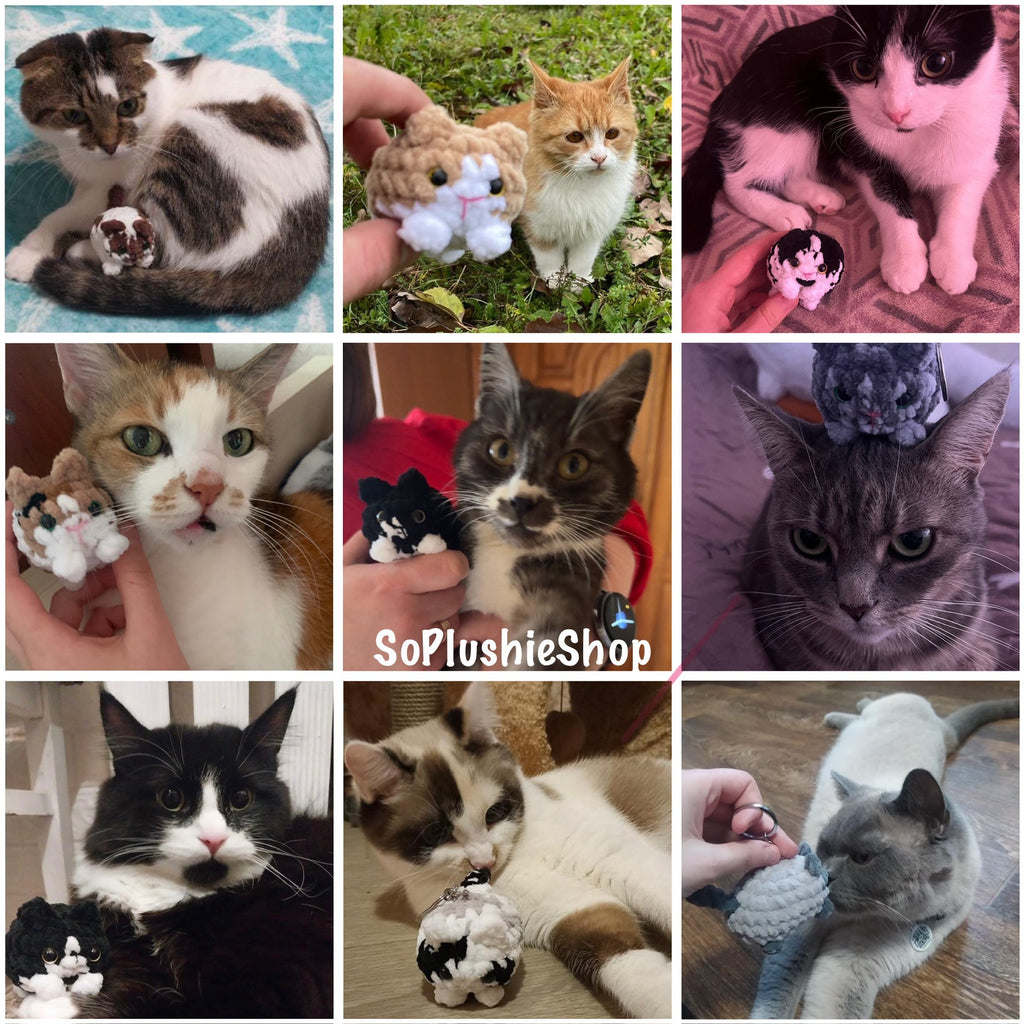 Custom Mini Cat