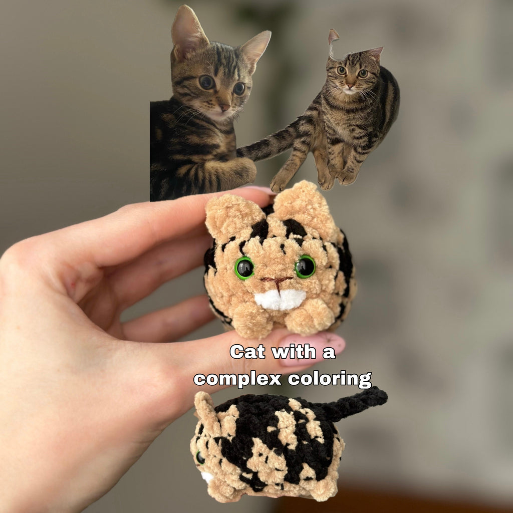 Custom Mini Cat
